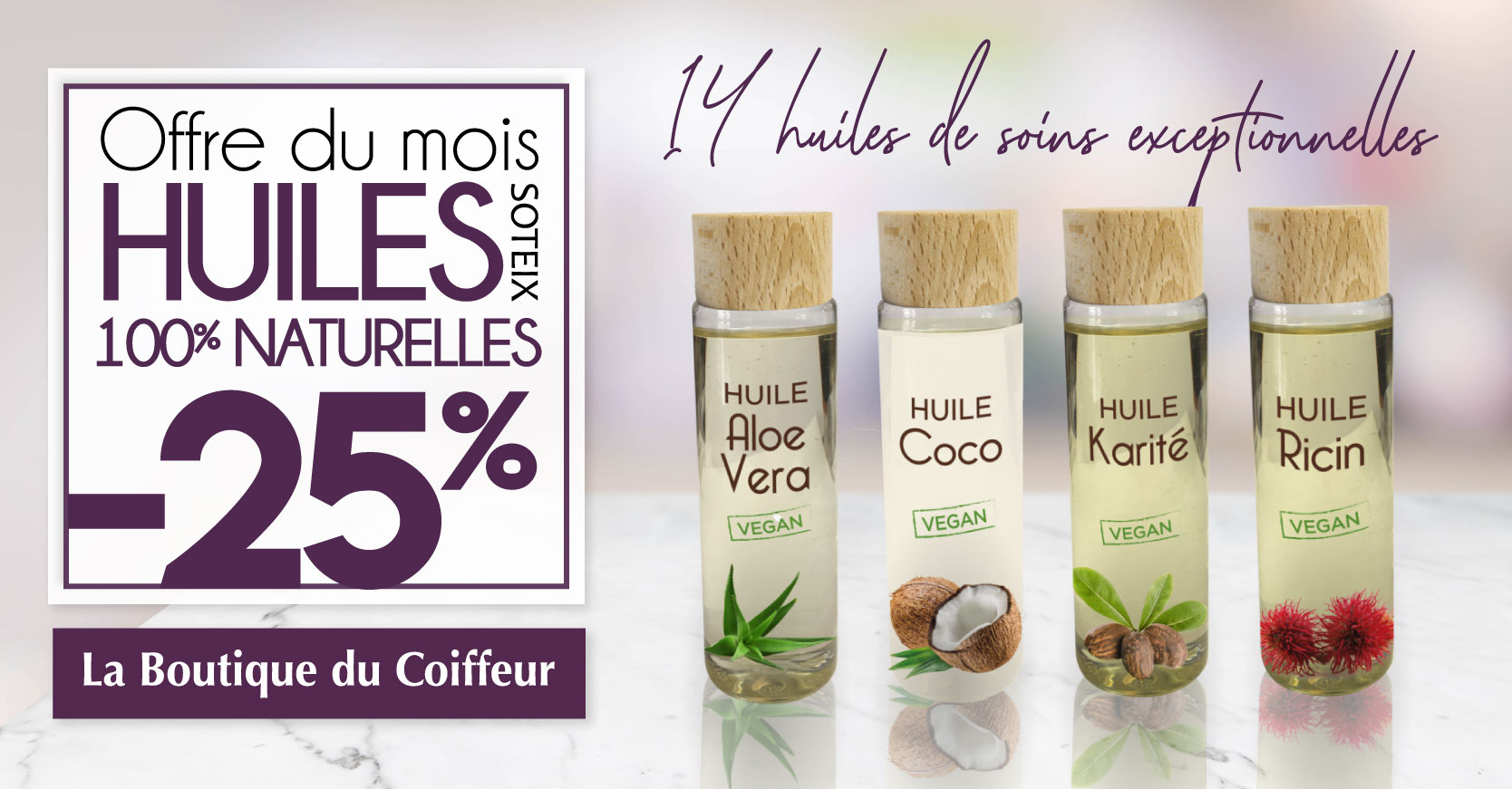 25 sur Les Huiles SOTEIX chez La Boutique du Coiffeur Place des